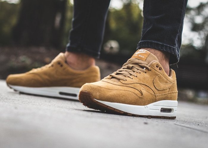 Nike Air Max 1 Premium (875844-203)