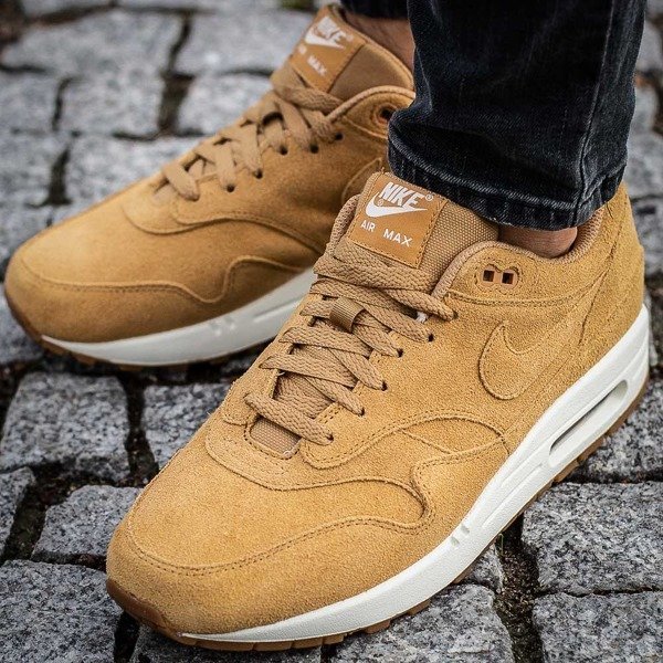 Nike Air Max 1 Premium (875844-203)