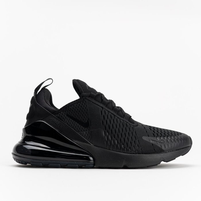 Nike Air Max 270 (AH8050-005)