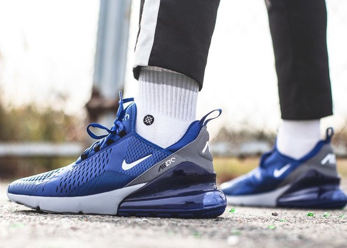 Nike Air Max 270 (AH8050-404)