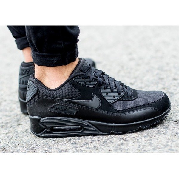 Nike Air Max 90 Essential (537384-090)