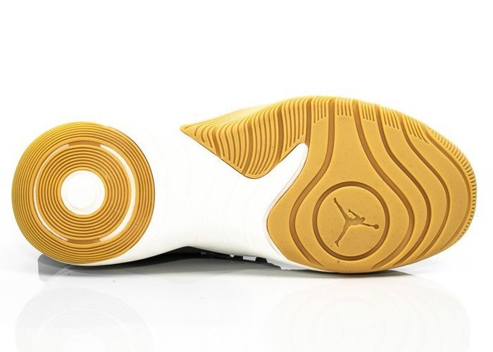 Nike Jordan DNA LX (AO2649-301)
