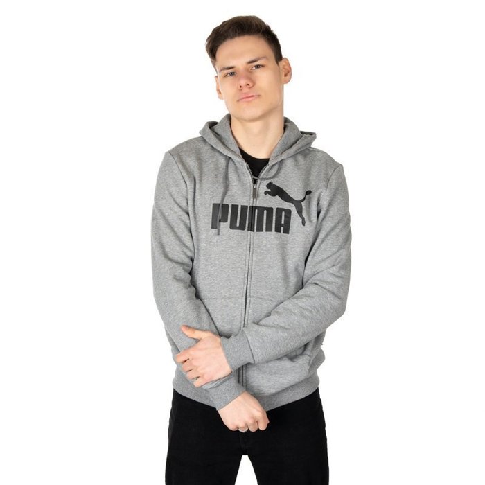 Puma Essentials Hoody Big Logo (851765-03)